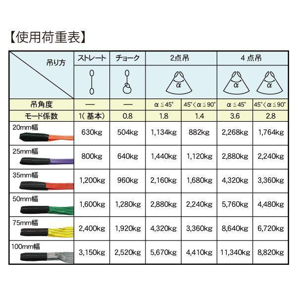 FREAK　CEベルトスリングE型　10本セット　使用荷重1200kg　幅35mm　長さ1.5m( 65730) 両端アイ型 フリーク